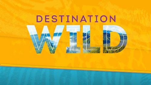 Image de Wild Americas sur NatGeoWild