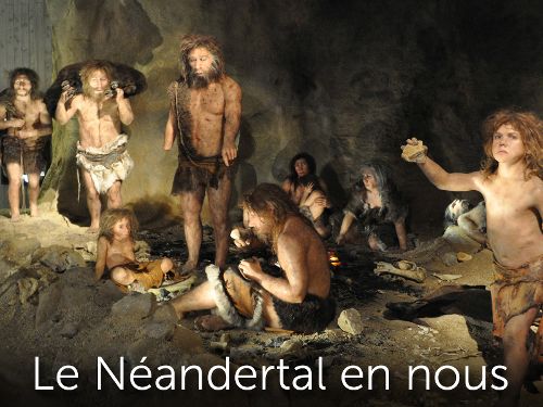 Image de Le Néandertal en nous sur Science & Vie TV