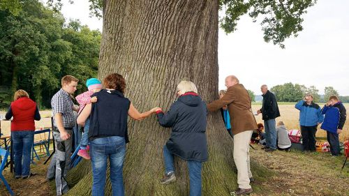 Image de Histoires d'arbres sur Arte