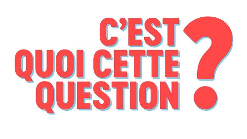 Image de C'est quoi cette question ? sur TF1