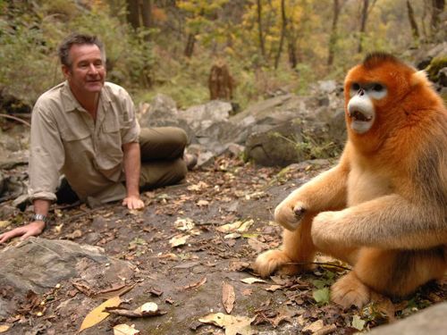 Image de Objectif Panda avec Nigel Marven sur Animaux