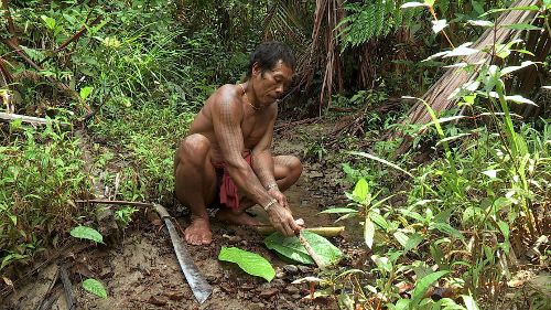 Image de Raiba et ses frères - Chroniques du clan des Sakuddei sur Voyage