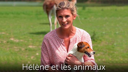 Image de Hélène et les animaux sur Ushuaïa TV