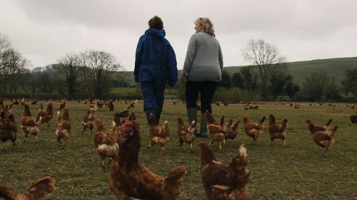 Image de Les animaux ont-ils des droits? sur Arte