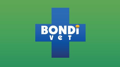 Image de Le vétérinaire de Bondi Beach sur Animaux