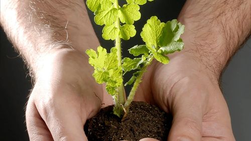 Image de L'agriculture du futur sur AB4