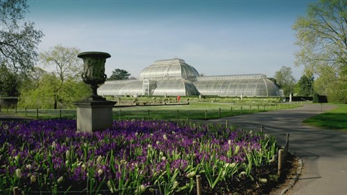 Kew Gardens: the four seasons