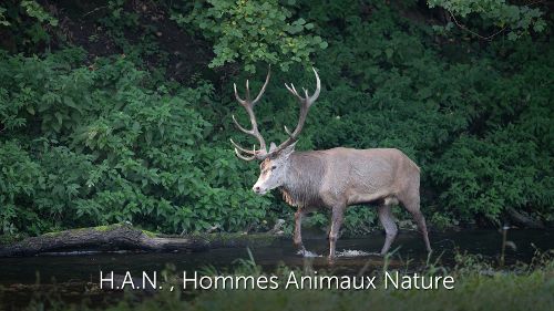 Image de H.A.N., Hommes Animaux Nature sur La Une