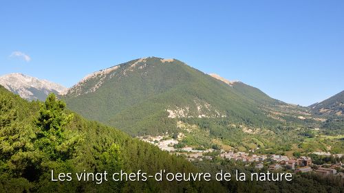 Image de Les vingt chefs-d'oeuvre de la nature sur Animaux