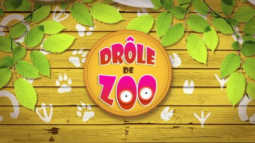 Image de Drôle de zoo sur Boomerang