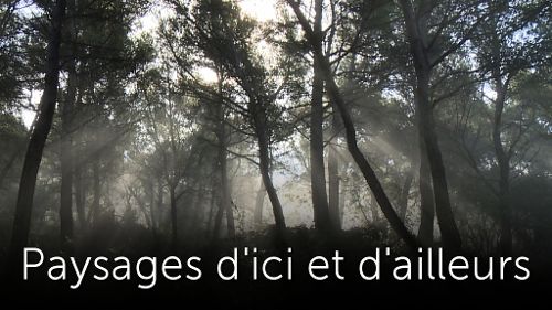 Image de Paysages d'ici et d'ailleurs sur Arte