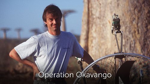 Image de Opération Okavango sur Ushuaïa TV